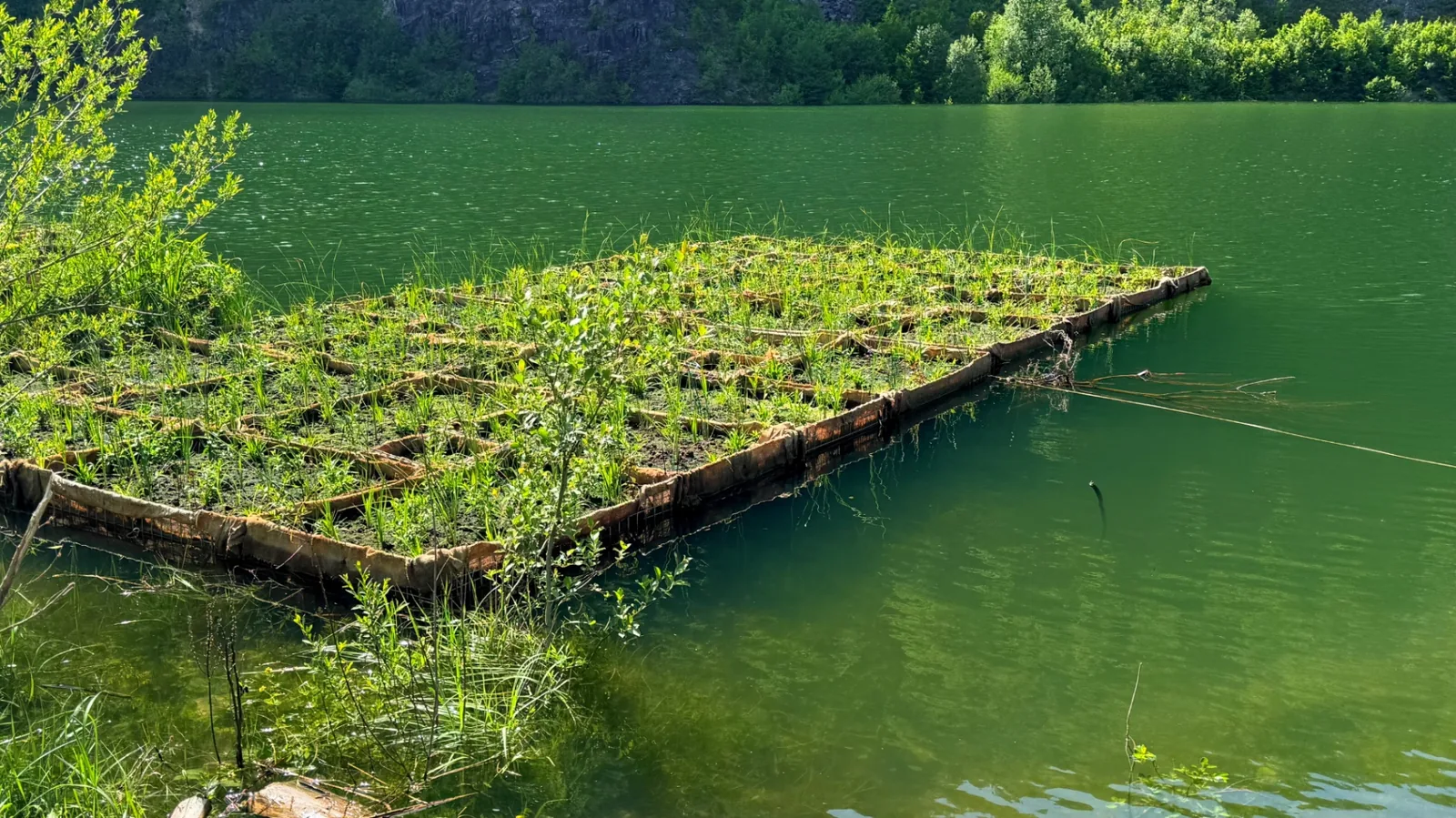 Insulă plutitoare cu vegetație pe un lac de carieră cu apă verde-smarald și maluri abrupte