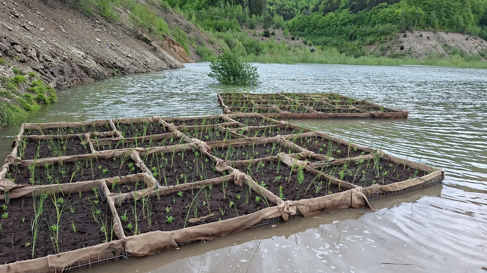 Mai multe insule plutitoare nou plantate, distribuite pe un lac montan